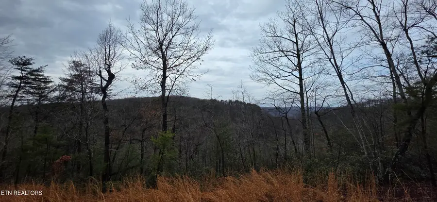 794 Eastridge Pass, Monterey, TN 38574 - Image #2