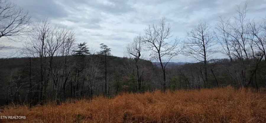 794 Eastridge Pass, Monterey, TN 38574 - Image #3