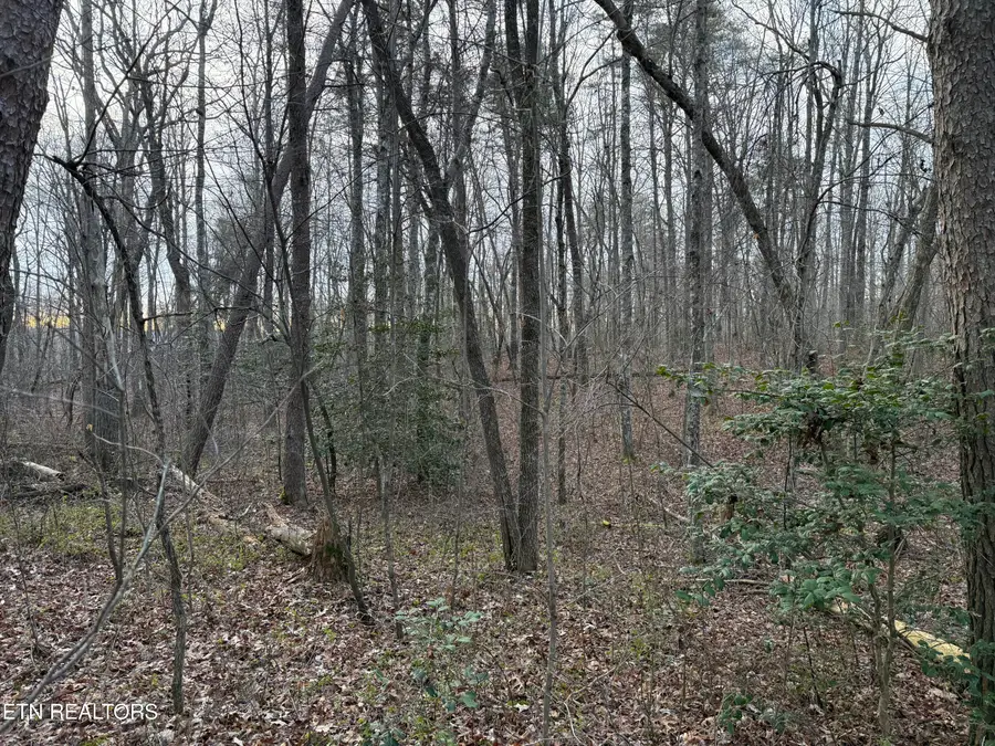 N Laurel Loop, Monterey, TN 38574 - Image #2