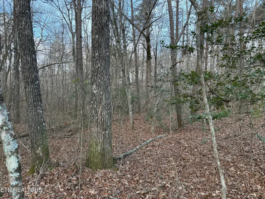 N Laurel Loop, Monterey, TN 38574 - Image #3