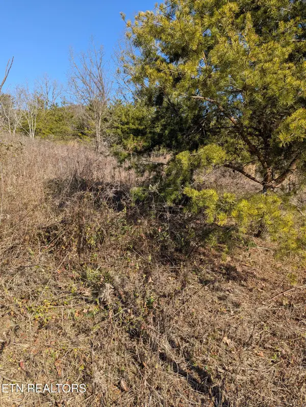 Whispering Court, Bean Station, TN 37708