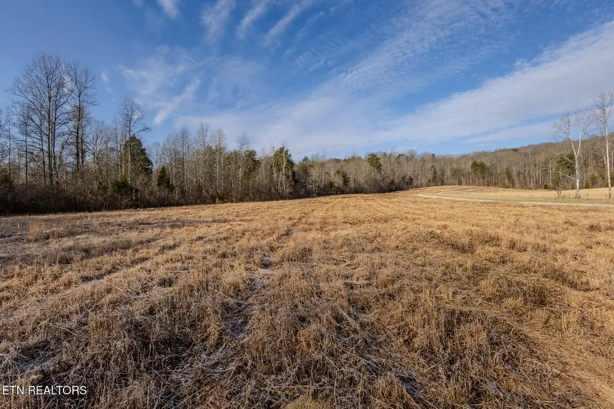 210 Dogtown Rd, Ten Mile, TN 37880 - Image #1