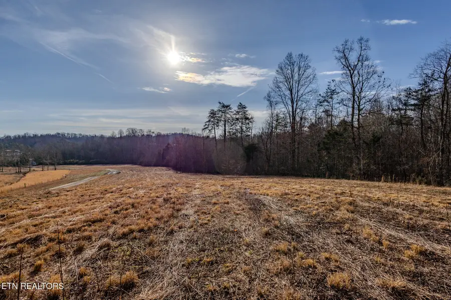 210 Dogtown Rd, Ten Mile, TN 37880 - Image #3