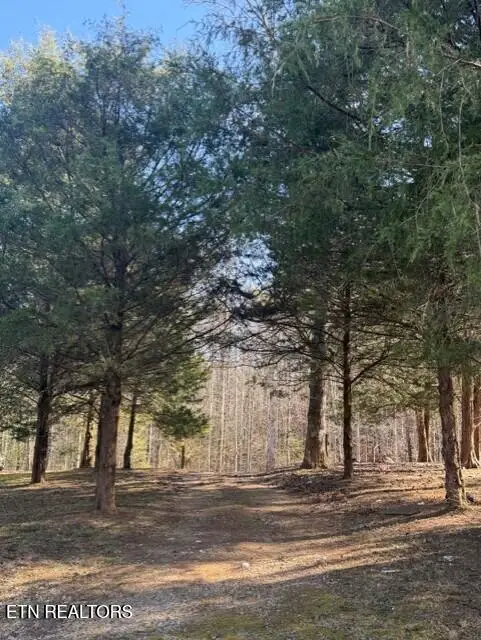 147 Shields Branch Rd, Tellico Plains, TN 37385 - Image #2