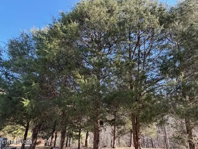 147 Shields Branch Rd, Tellico Plains, TN 37385 - Image #3