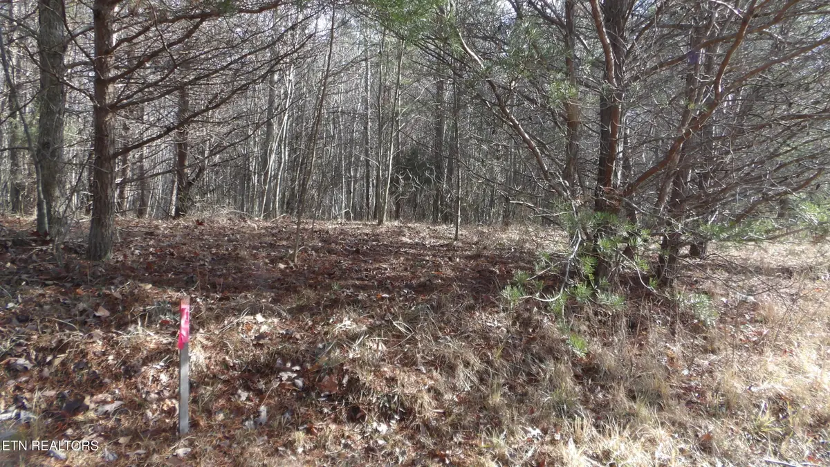 Lot 185 Meadow Lane, Spencer, TN 38585 - Image #1