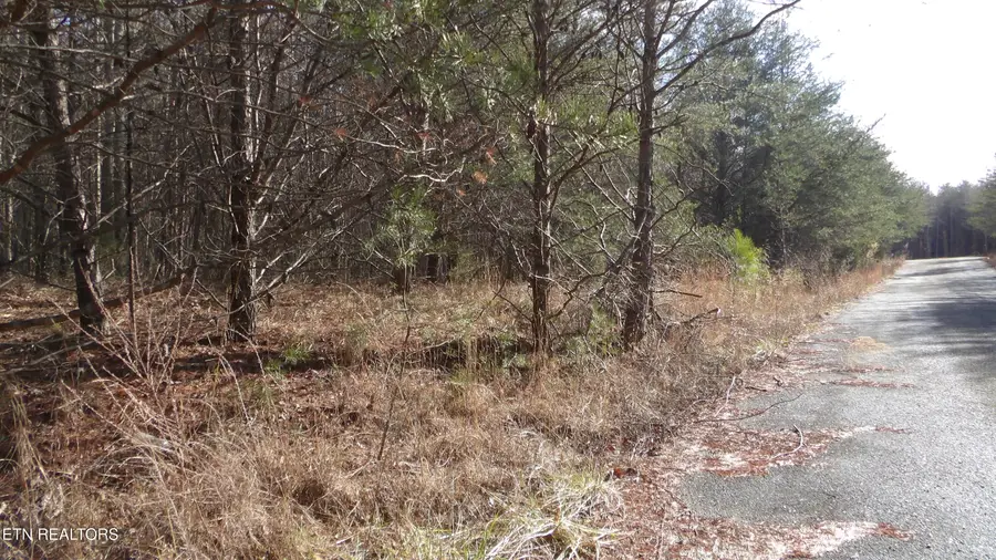 Lot 185 Meadow Lane, Spencer, TN 38585 - Image #3