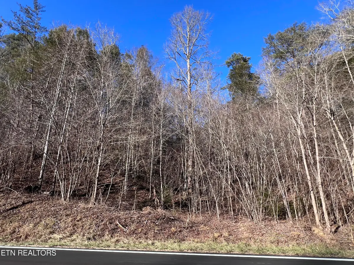 Lot 17 & 18 Jones Cove Rd, Sevierville, TN 37876 - Image #1