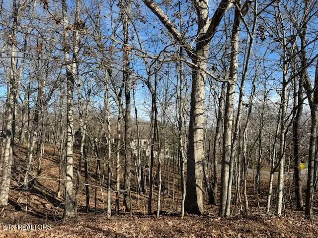 123 Walden Ridge Drive, Crossville, TN 38558 - Image #2