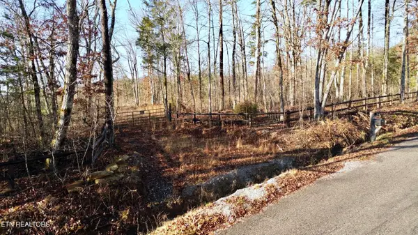 104 Sunrise Tr, Pikeville, TN 37367