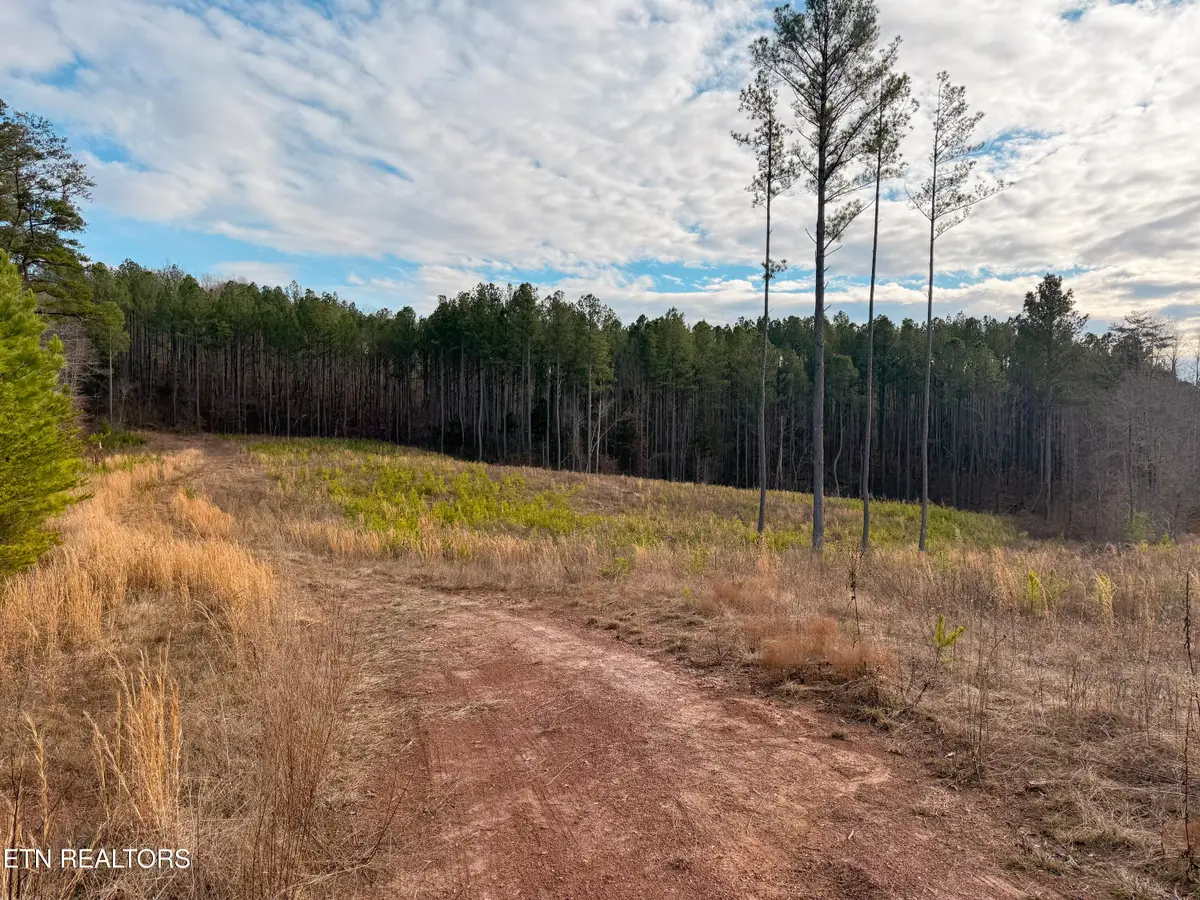 235 Bill Moser Rd, Vonore, TN 37885 - Image #1