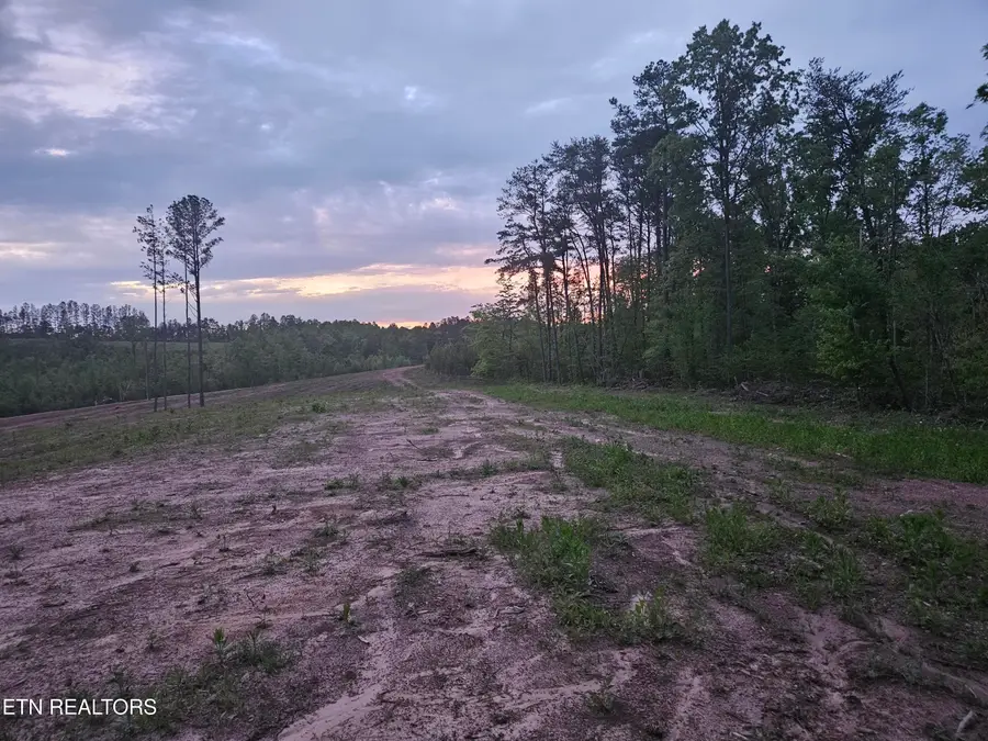 235 Bill Moser Rd, Vonore, TN 37885 - Image #2