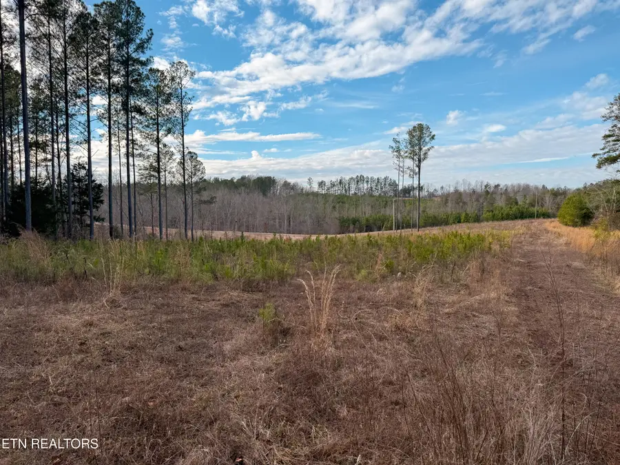 235 Bill Moser Rd, Vonore, TN 37885 - Image #3