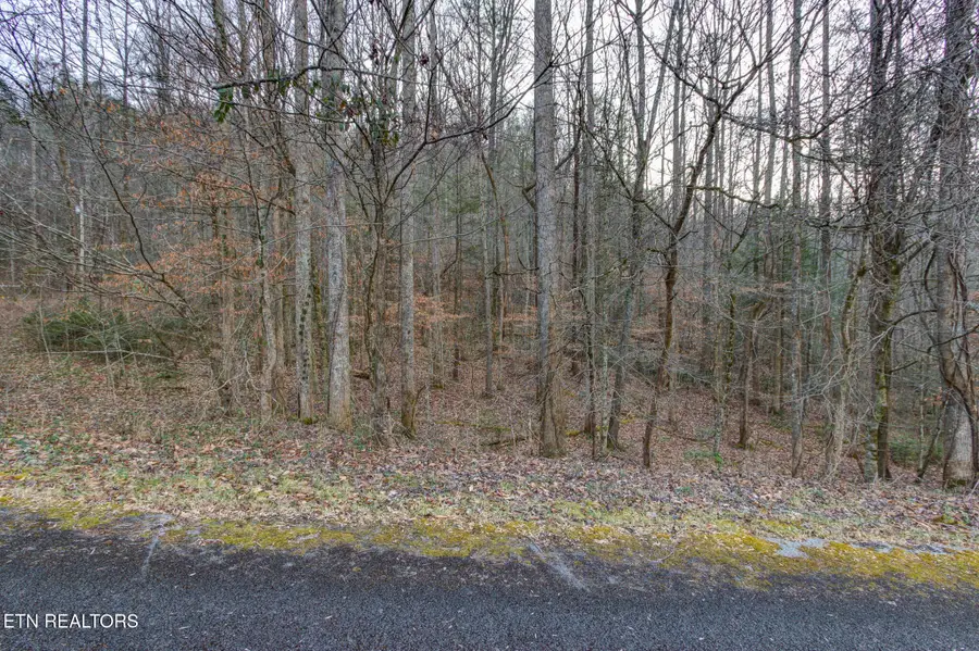 4120 Highland Rd, Cosby, TN 37722 - Image #3