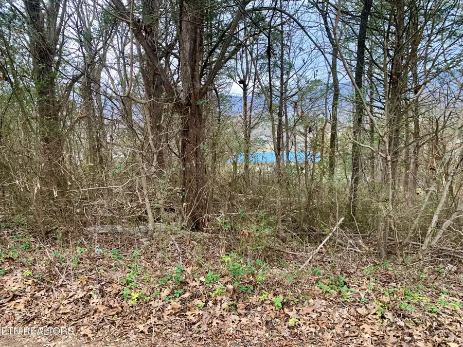 Cumberland Drive, Harrogate, TN 37752 - Image #3