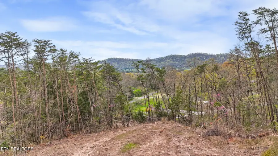 Lot 9 Reed Bull Rd, New Market, TN 37820 - Image #3