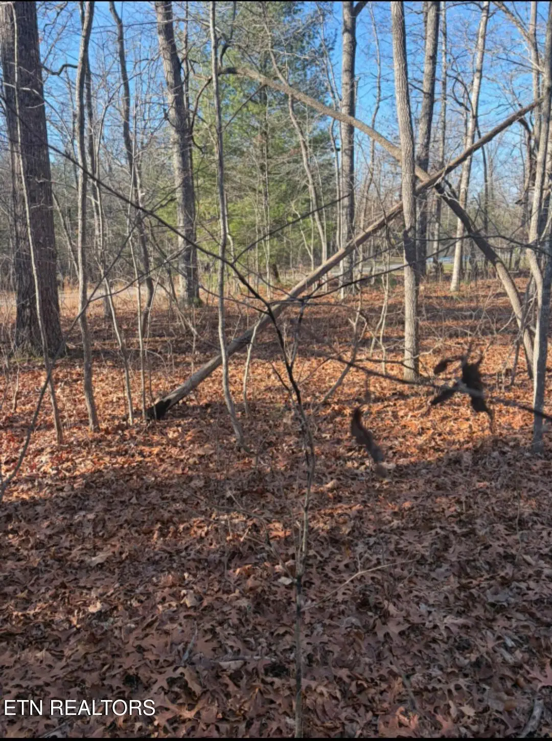 402 Acoma Drive, Crossville, TN 38572 - Image #1