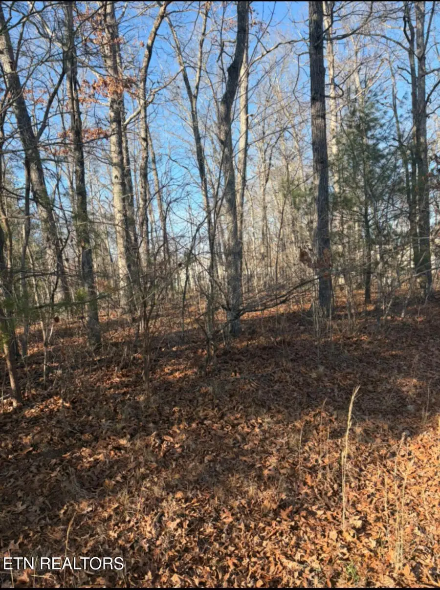 402 Acoma Drive, Crossville, TN 38572 - Image #3