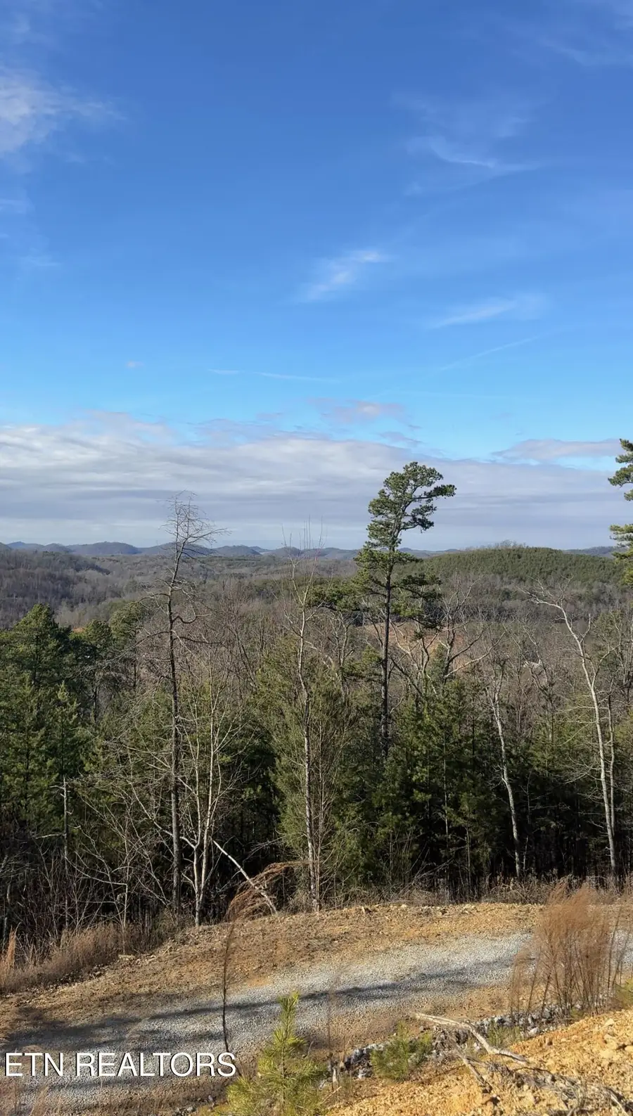 117 Indian Ridge Drive, Tellico Plains, TN 37385 - #3