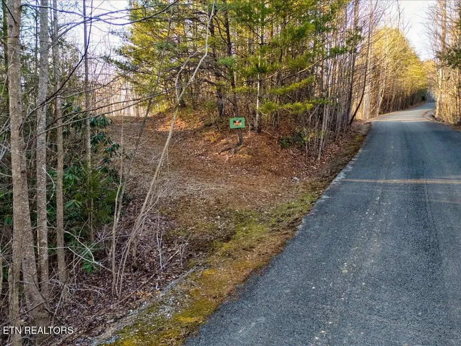 Lot 31 Sonshine Ridge Rd, Cosby, TN 37722 - #2