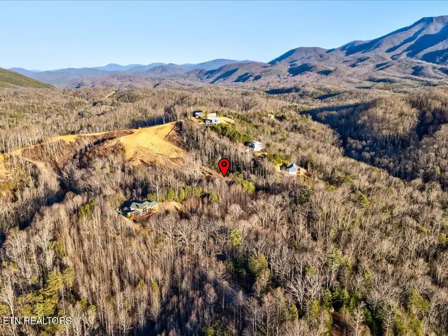 Lot 31 Sonshine Ridge Rd, Cosby, TN 37722 - #3