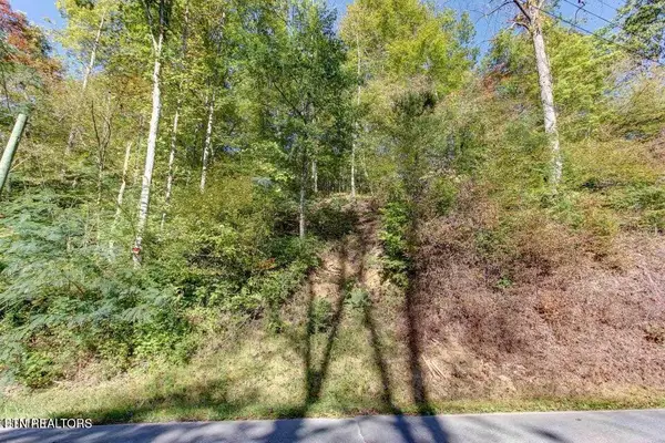 947 Powdermill Rd, Gatlinburg, TN 37738