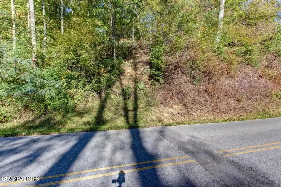 947 Powdermill Rd, Gatlinburg, TN 37738 - #2