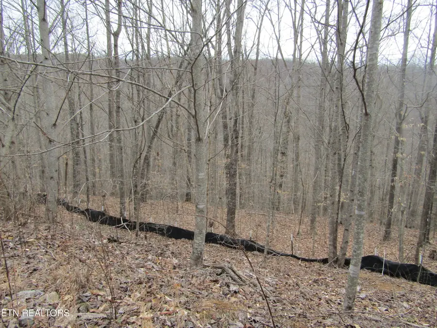 Lot 60 W Bobcat Lane, Wilder, TN 38589 - #2