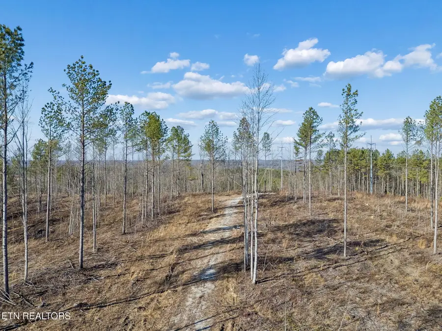 Burrville Rd., Sunbright, TN 37872 - #2