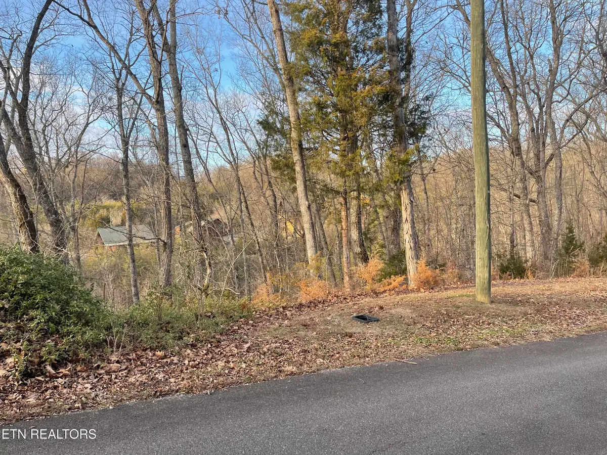 Lot 67 Wingspan Dr, Sevierville, TN 37862 - #1