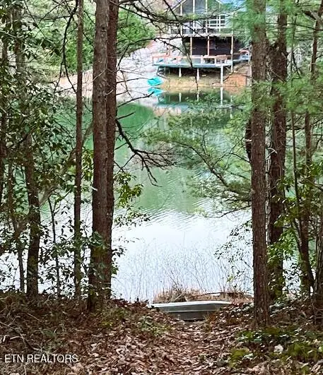 Sandy Stand Rd, Tallassee, TN 37878 - Image #2