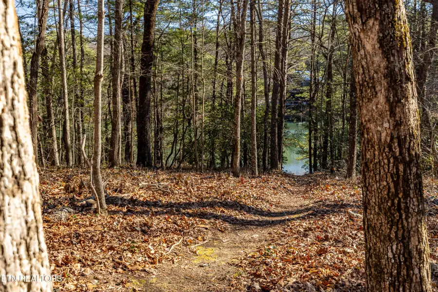 Sandy Stand Rd, Tallassee, TN 37878 - Image #3