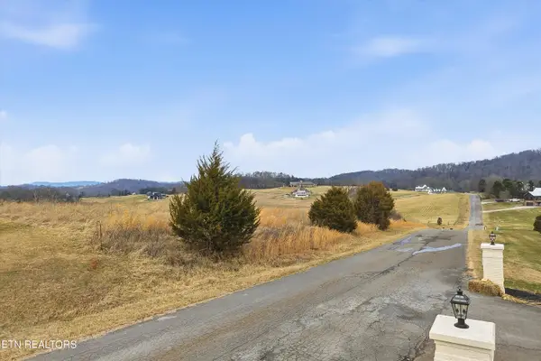 972 Cliff Top Rd, Blaine, TN 37709