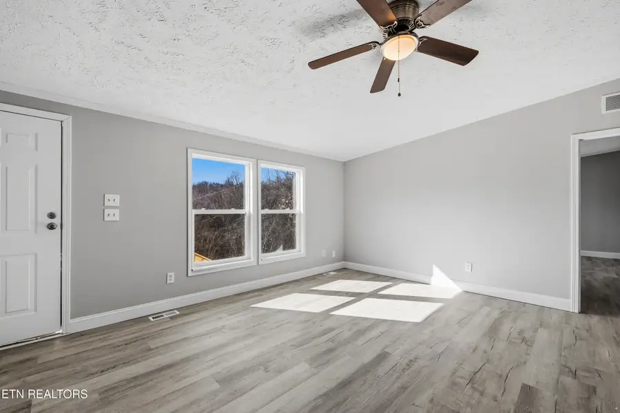 1564 Hollow Springs Rd, White Pine, TN 37890 - #3