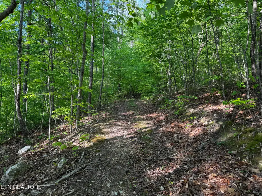 Baltimore Rd, Washburn, TN 37888 - Image #2