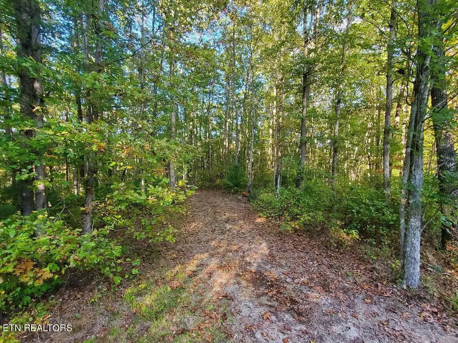 2036 Helenwood Detour Rd, Helenwood, TN 37755 - Image #2