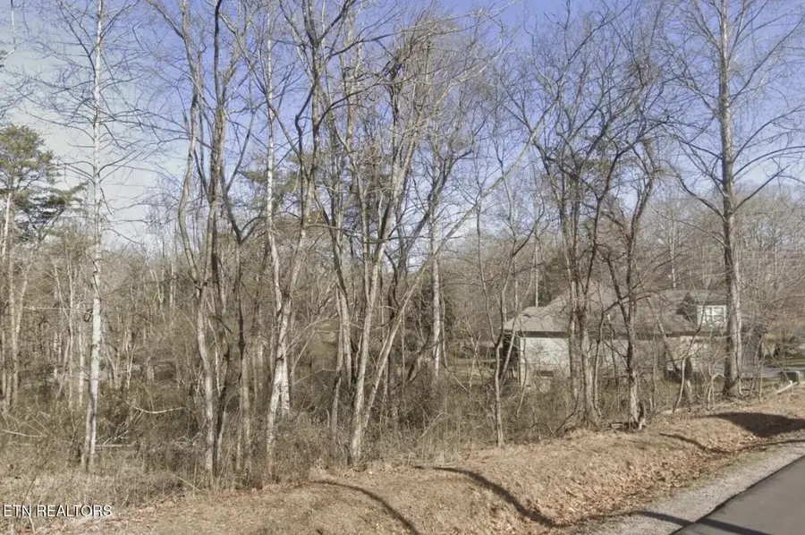 105 Chanusi Way, Loudon, TN 37774 - Image #2