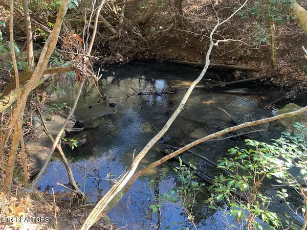 Tract 2 Lone Wolf Trail, Spencer, TN 38585