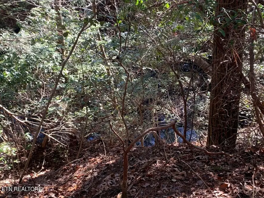 Tract 2 Lone Wolf Trail, Spencer, TN 38585 - #3