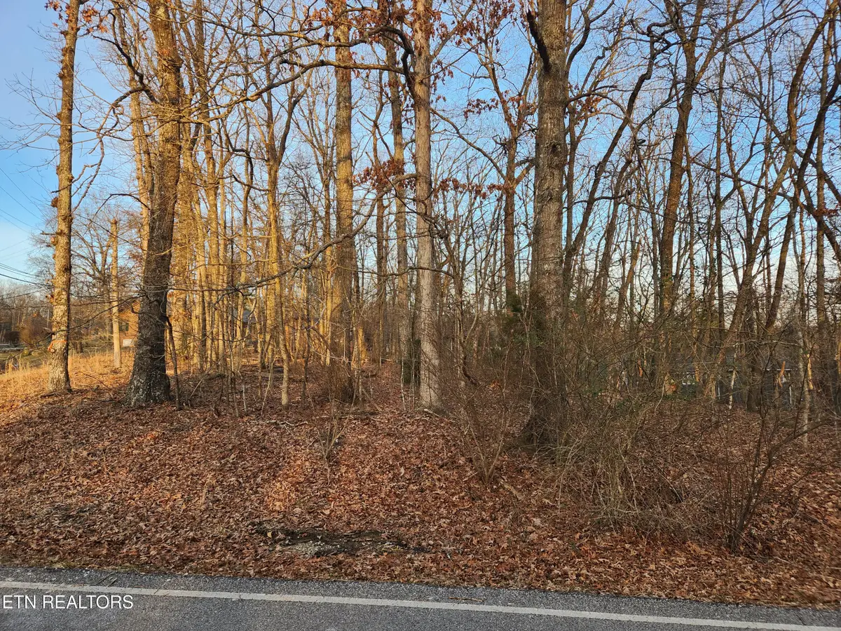 101 Ivy Brook Lane, Crossville, TN 38558 - #1