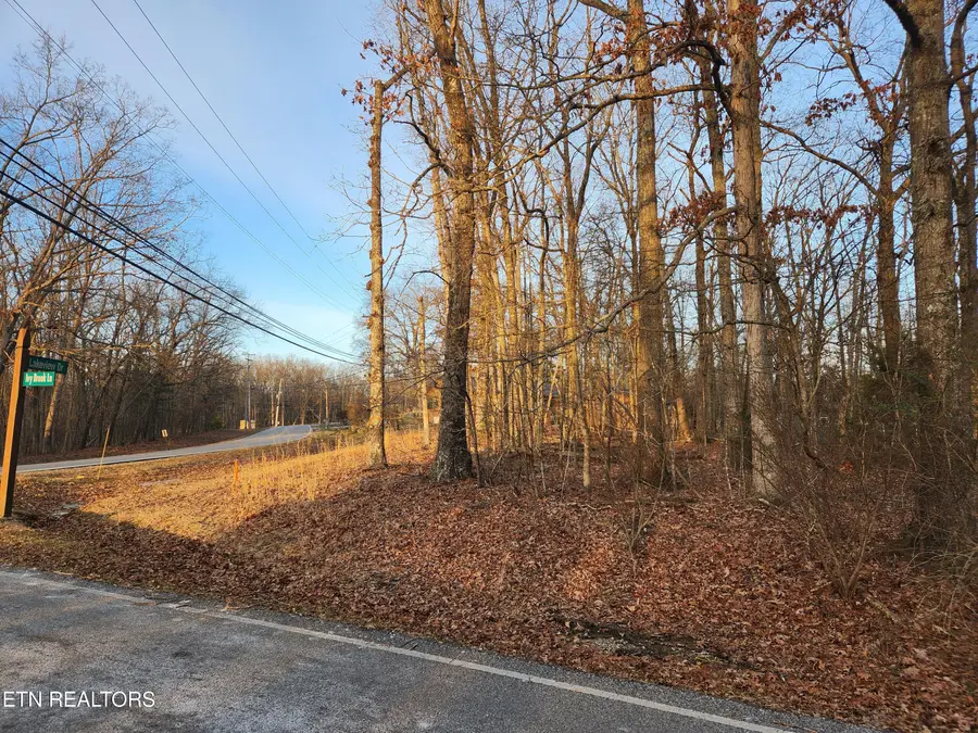 101 Ivy Brook Lane, Crossville, TN 38558 - #2