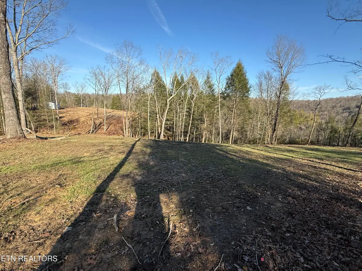 20 Bluff View, Allardt, TN 38504 - #1