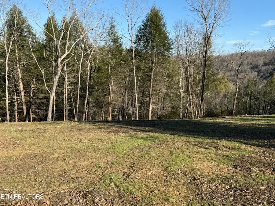20 Bluff View, Allardt, TN 38504 - #2