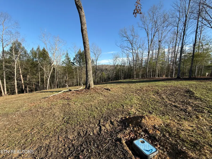 20 Bluff View, Allardt, TN 38504 - #3