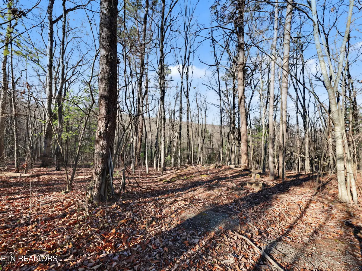 Avens Lane, Tallassee, TN 37878 - Image #1