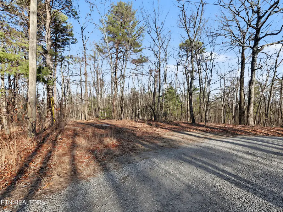 Avens Lane, Tallassee, TN 37878 - Image #3