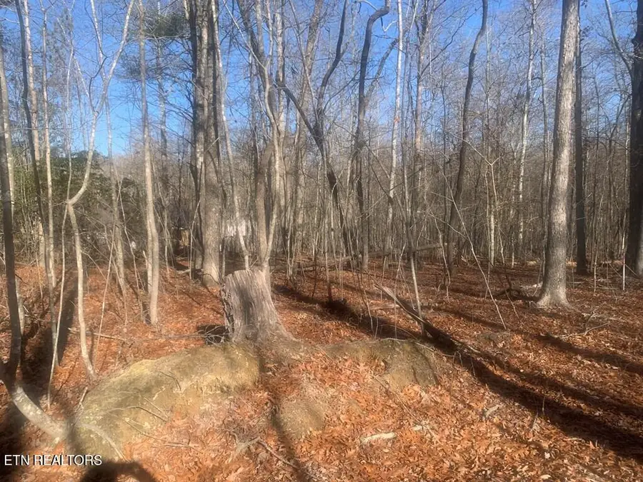 Lot 14 Honeysuckle Road, Pikeville, TN 37367 - #2