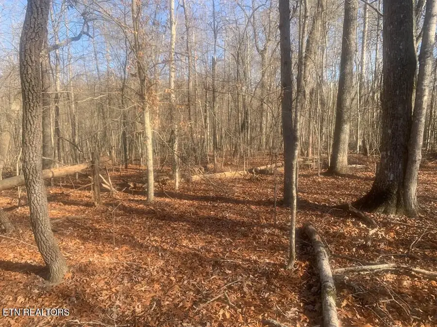Lot 14 Honeysuckle Road, Pikeville, TN 37367 - #3
