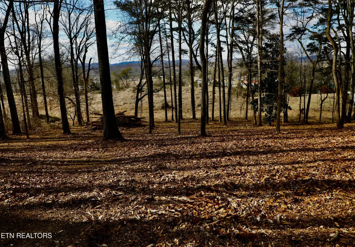 Lot 1 E Crestview Drive, Madisonville, TN 37354 - #1