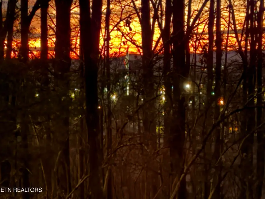 Lot 1 E Crestview Drive, Madisonville, TN 37354 - #2